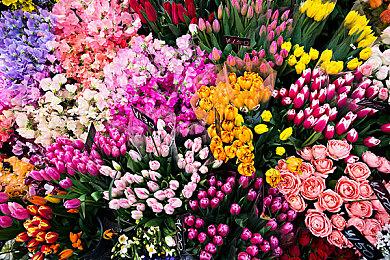 《十字军之王3》开启玩家意见征集 影响DLC开发方向